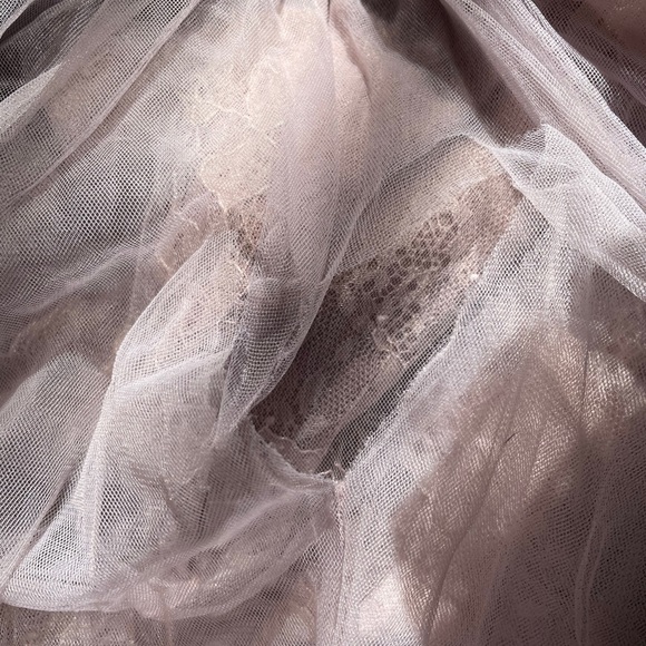 Rip - Picture 2 of 2